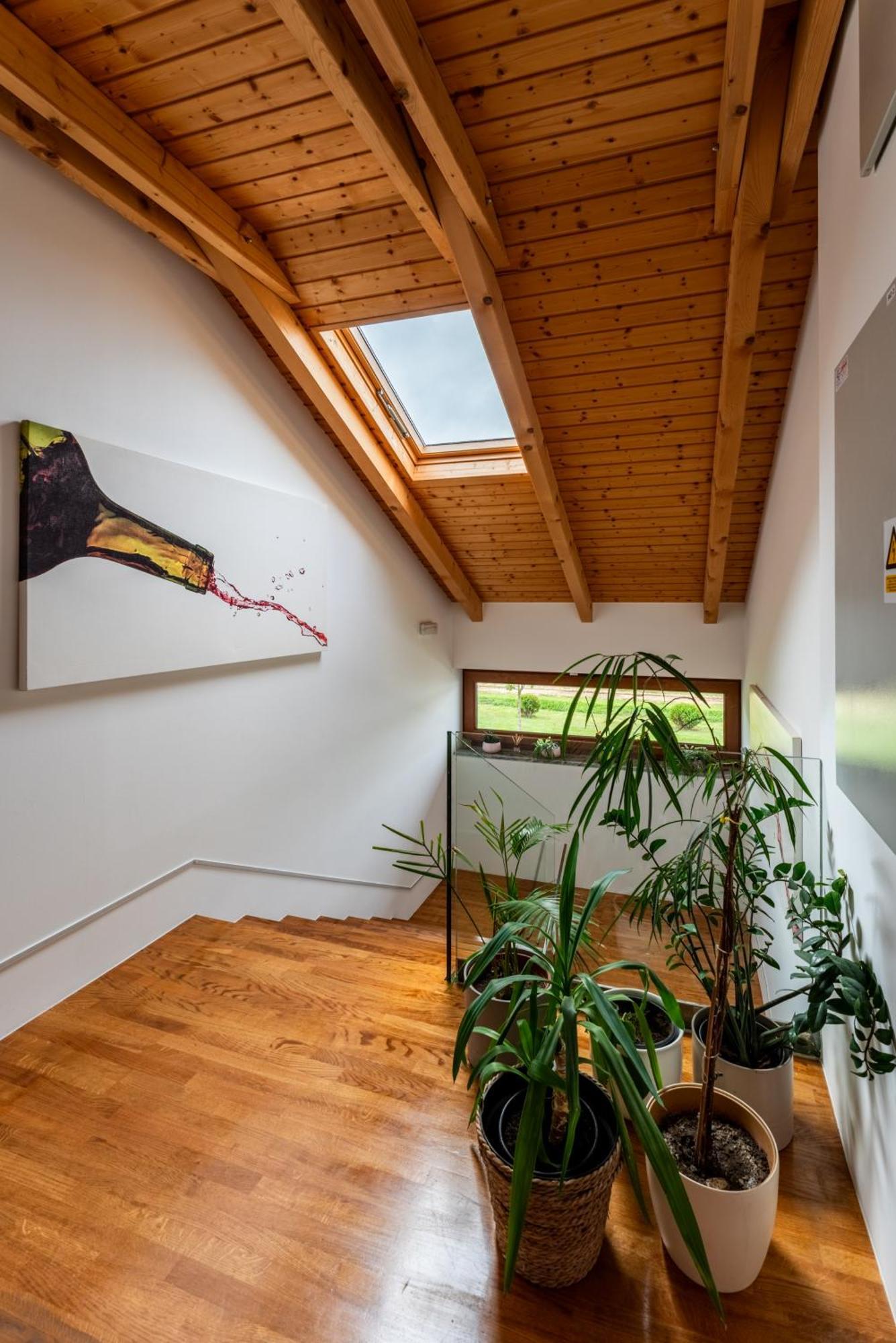 Bed&Breakfast Vinarija Coner เบียโลวาร์ ภายนอก รูปภาพ